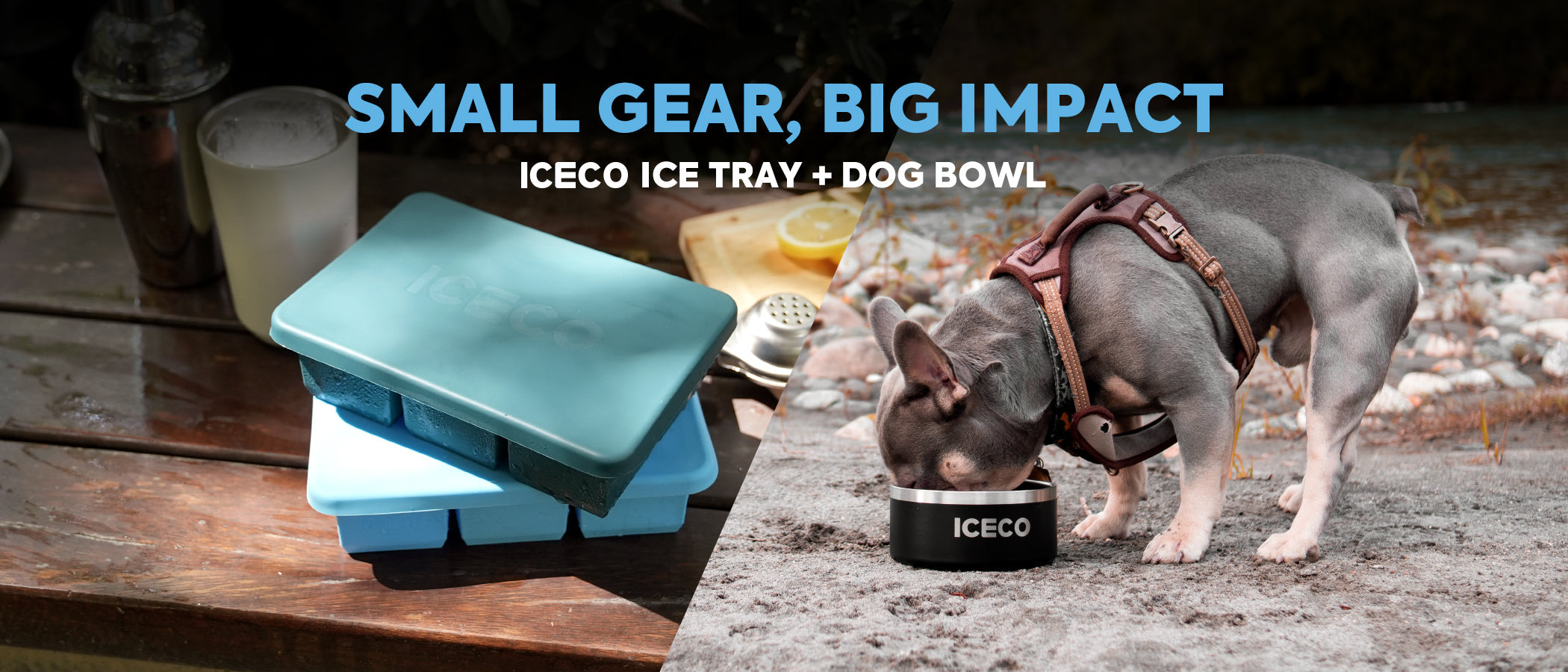Small Gear, Big Impact: ICECO Ice Cube Tray & Dog Bowl
