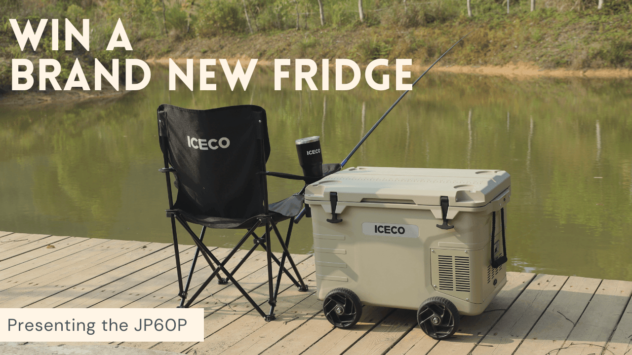 Win a FREE Brand New Mobile Refrigerator by Tagging US - www.icecofreezer.com