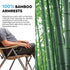 Ha1600 4 Positions Adjustable Camping Chairs for Outside | ICECO-Outdoor Gear-www.icecofreezer.com