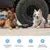 Stainless Steel Dog Bowl, Dog Food and Water Bowl | ICECO-accessories-www.icecofreezer.com